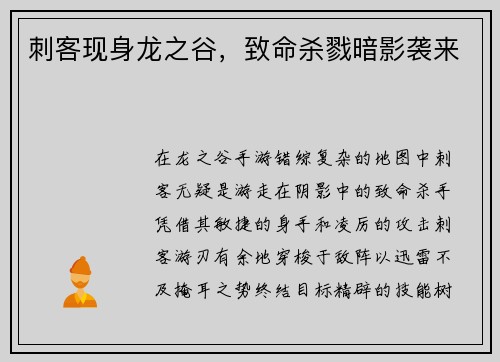 刺客现身龙之谷，致命杀戮暗影袭来