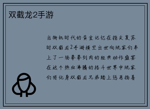 双截龙2手游