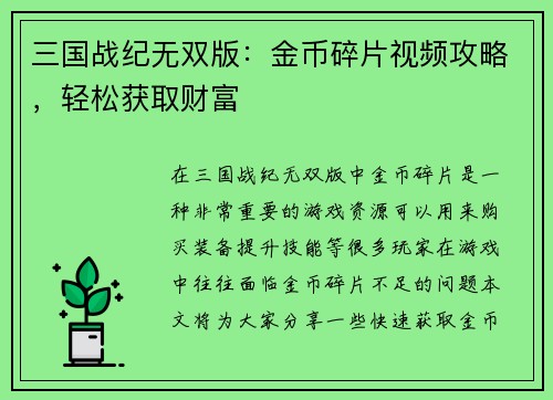 三国战纪无双版：金币碎片视频攻略，轻松获取财富